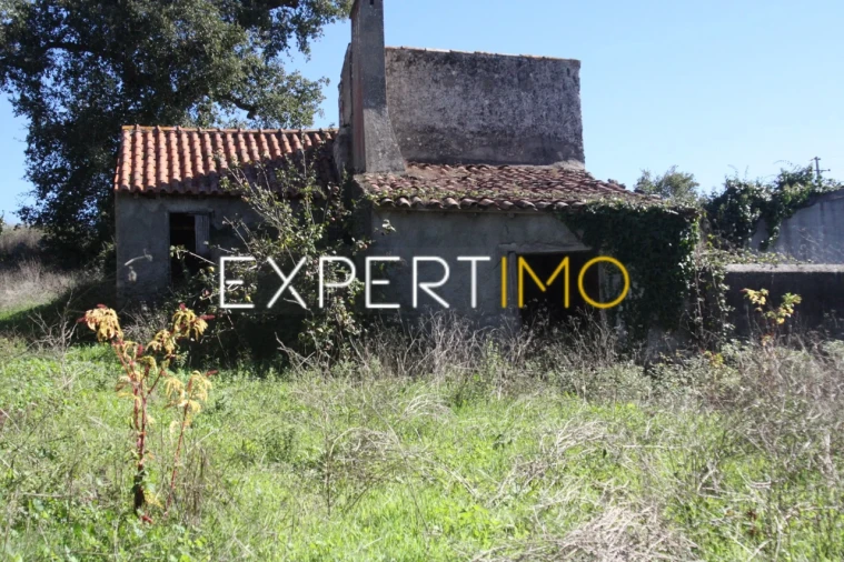 Quinta T4 para Venda em Redinha Foto 13
