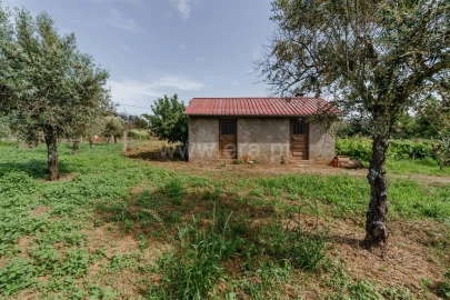 Terreno para Venda em Paul