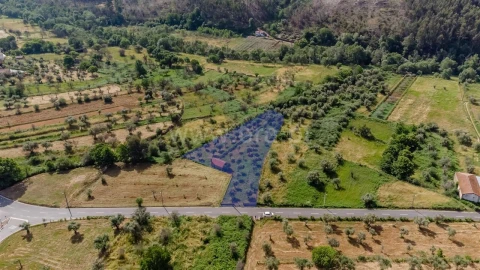 Terreno para Venda em Paul