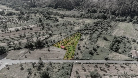 Terreno para Venda em Paul