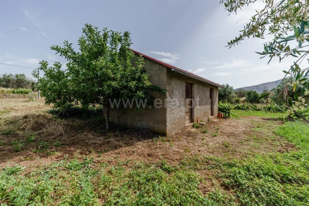 Terreno para Venda em Paul Foto 5