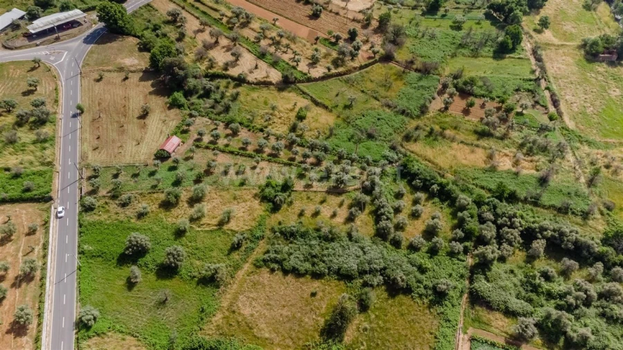 Terreno para Venda em Paul Foto 17