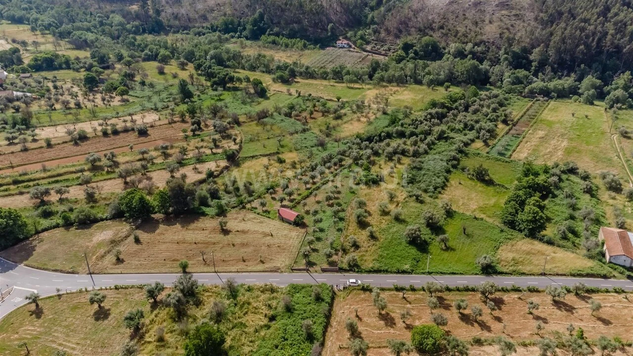 Terreno para Venda em Paul Foto 14