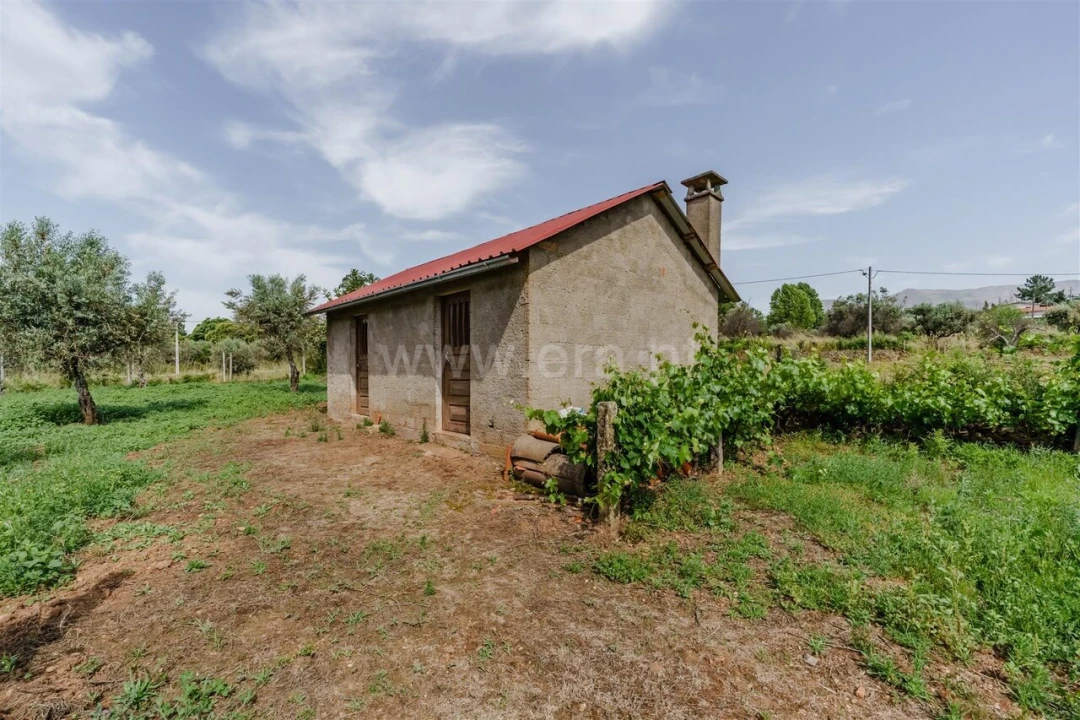 Terreno para Venda em Paul Foto 2