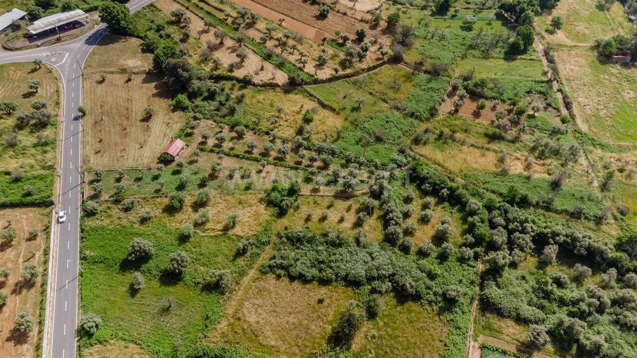 Terreno para Venda em Paul Foto 17