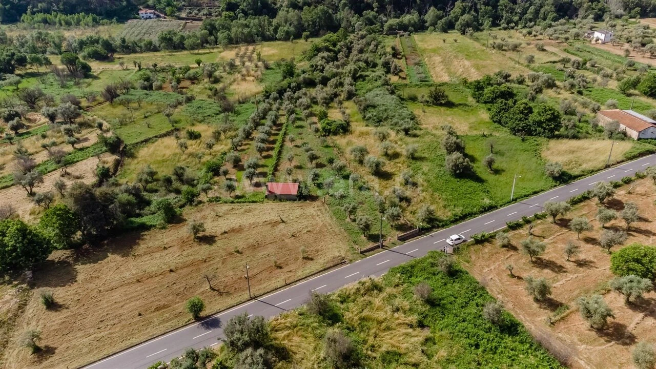Terreno para Venda em Paul Foto 13