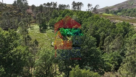 Terreno para Venda em Campo do Geres