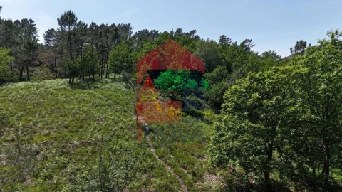 Terreno para Venda em Campo do Geres