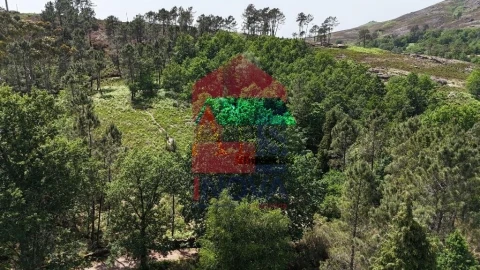 Terreno para Venda em Campo do Geres