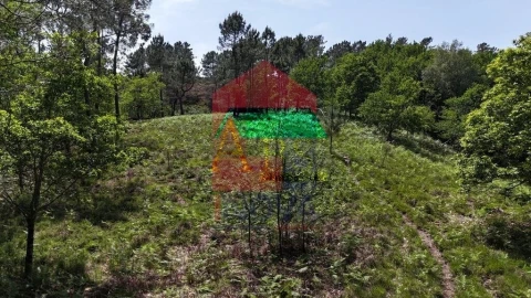 Terreno para Venda em Campo do Geres