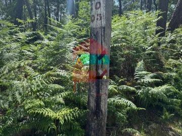 Terreno para Venda em Campo do Geres