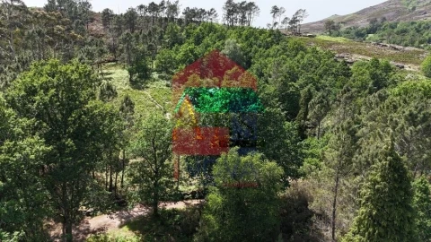 Terreno para Venda em Campo do Geres