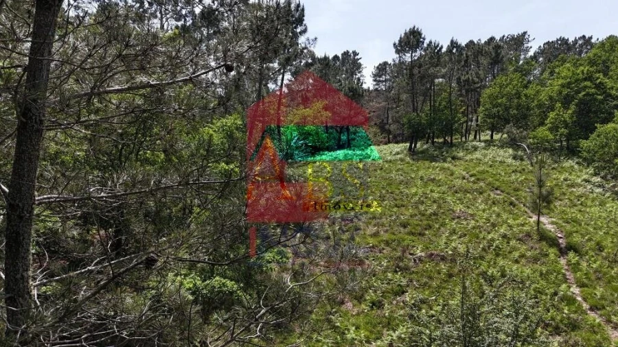 Terreno para Venda em Campo do Geres Foto 26