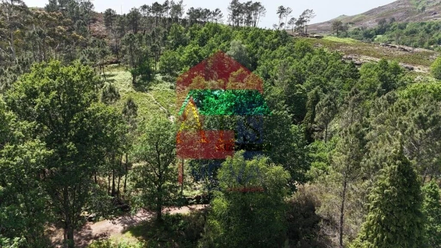 Terreno para Venda em Campo do Geres Foto 21