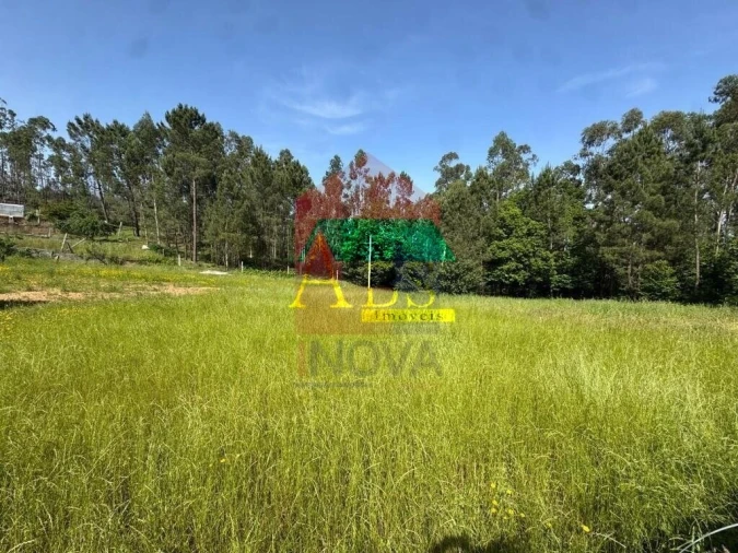 Terreno para Venda em Cervães Foto 3