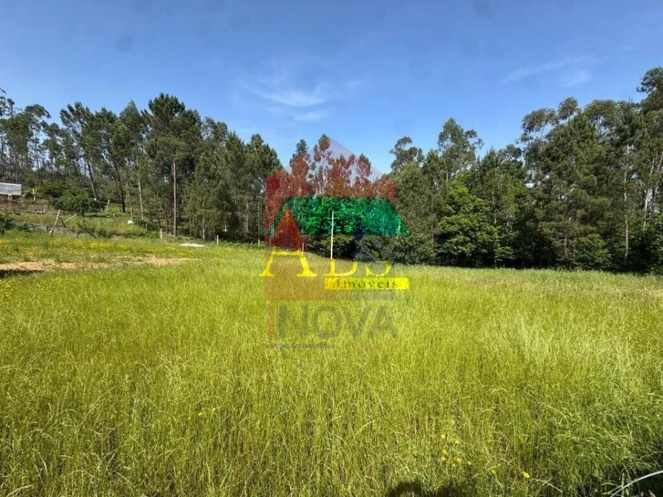 Terreno para Venda em Cervães Foto 3