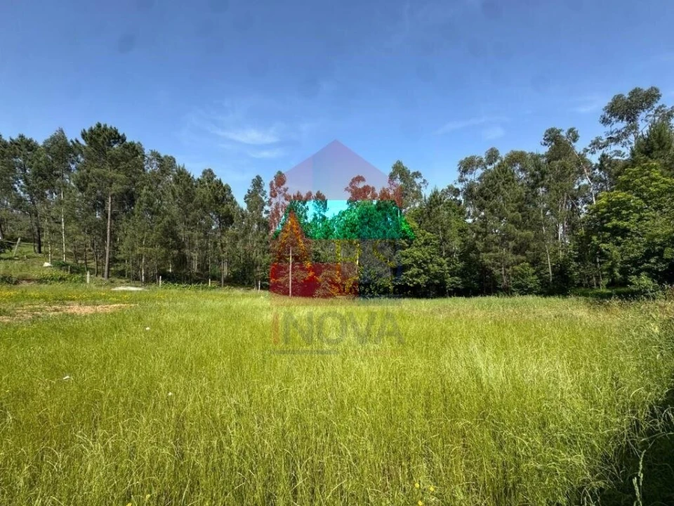 Terreno para Venda em Cervães Foto 5