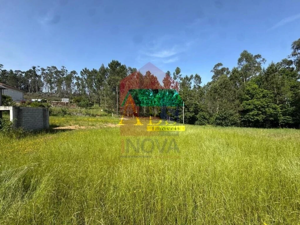 Terreno para Venda em Cervães Foto 4