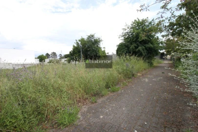 Terreno para Venda em Santa Marta de Portuzelo