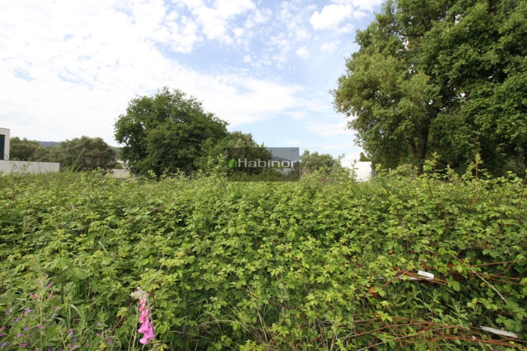 Terreno para Venda em Santa Marta de Portuzelo Foto 2