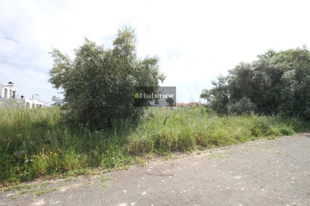 Terreno para Venda em Santa Marta de Portuzelo Foto 4