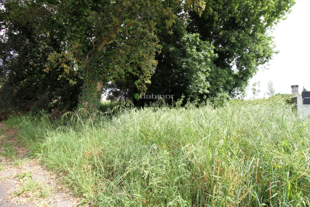 Terreno para Venda em Santa Marta de Portuzelo Foto 5