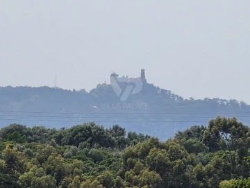 Moradia T7 para Venda em Queluz e Belas