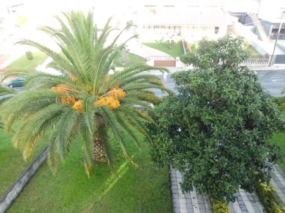 Apartamento T2 para Arrendamento em Nogueira e Silva Escura Foto 7