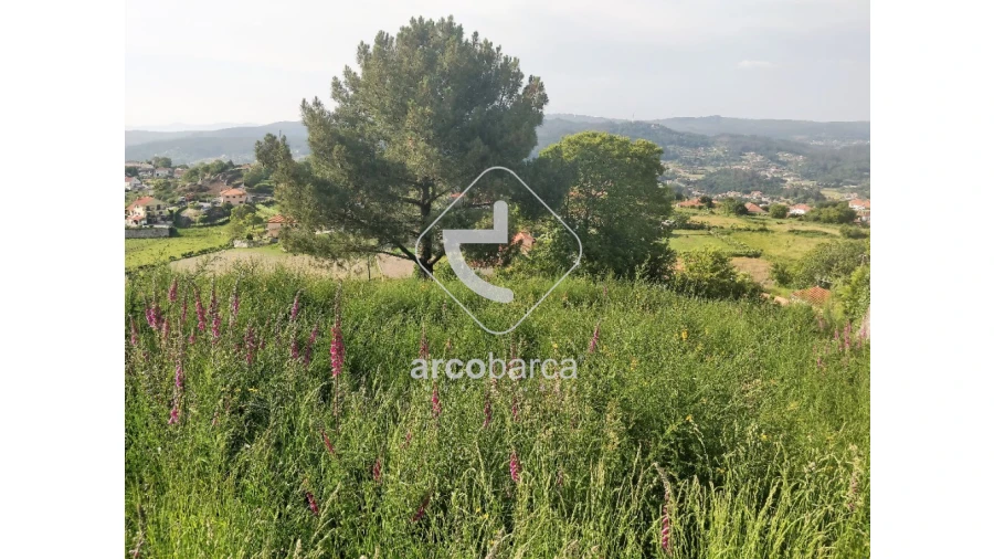 Terreno para Venda em Paredes de Coura e Resende Foto 5