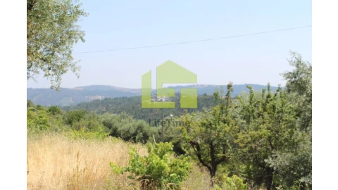 Terreno para Venda em Almalagues