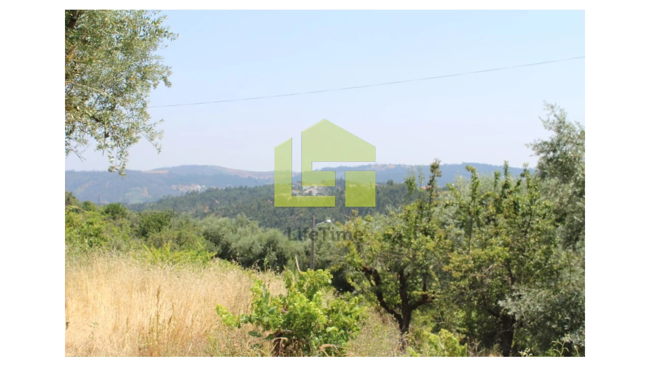 Terreno para Venda em Almalagues Foto 14