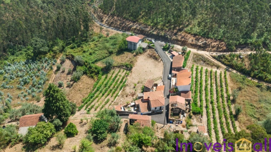 Moradia T3 para Venda em Penacova Foto 3