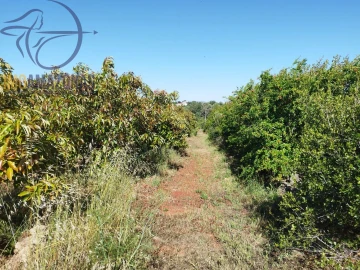 Moradia T1 para Venda em São Bartolomeu de Messines