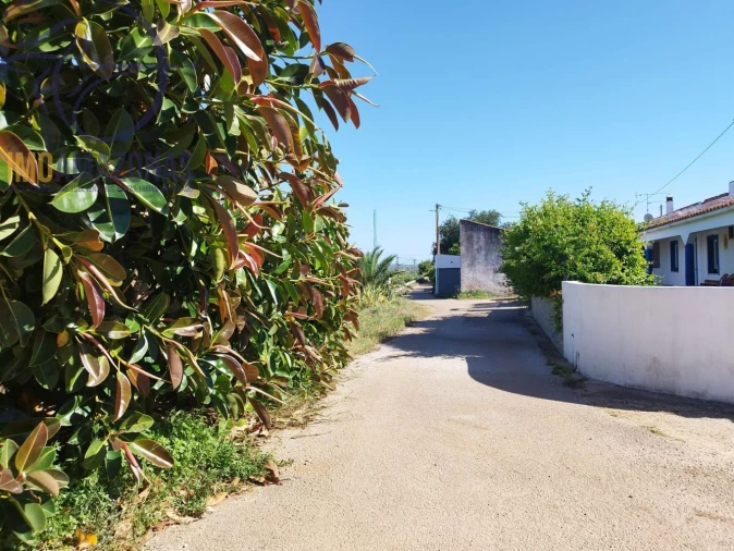 Moradia T1 para Venda em São Bartolomeu de Messines Foto 22