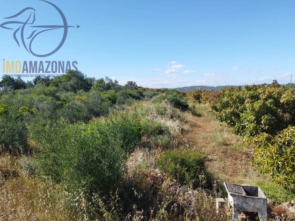 Moradia T1 para Venda em São Bartolomeu de Messines Foto 19