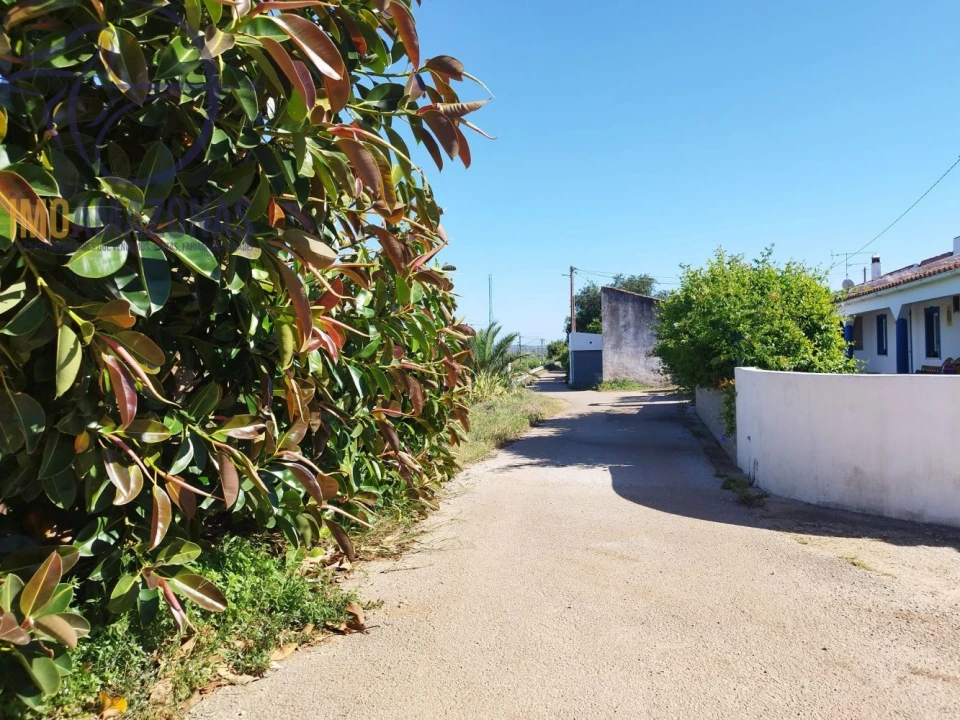 Moradia T1 para Venda em São Bartolomeu de Messines Foto 22