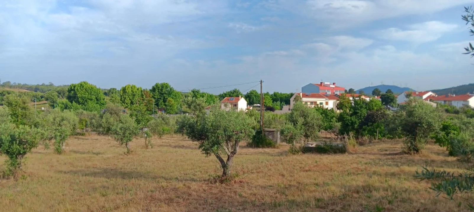 Terreno para Venda em Mação, Penhascoso e Aboboreira Foto 7