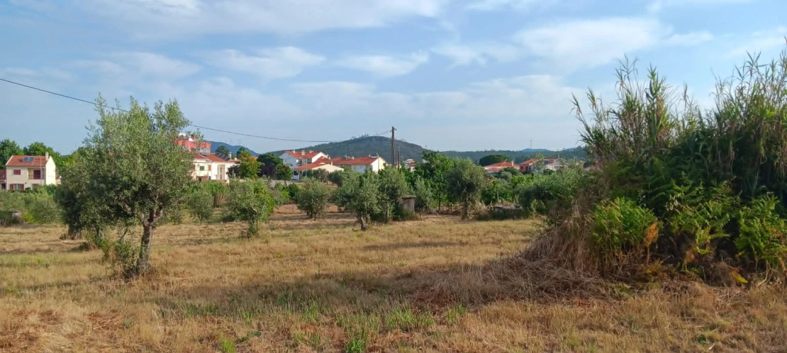 Terreno para Venda em Mação, Penhascoso e Aboboreira Foto 13