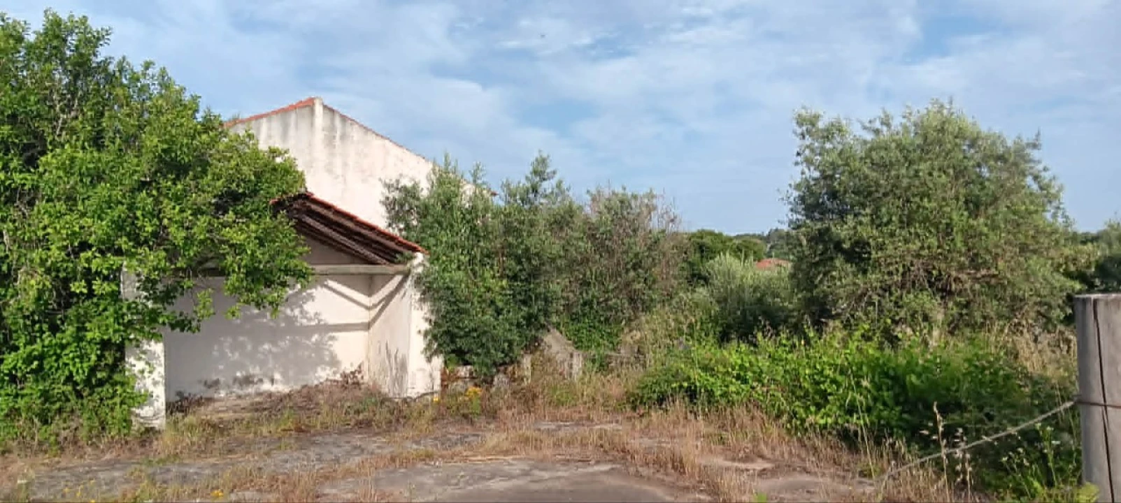 Terreno para Venda em Mação, Penhascoso e Aboboreira Foto 15