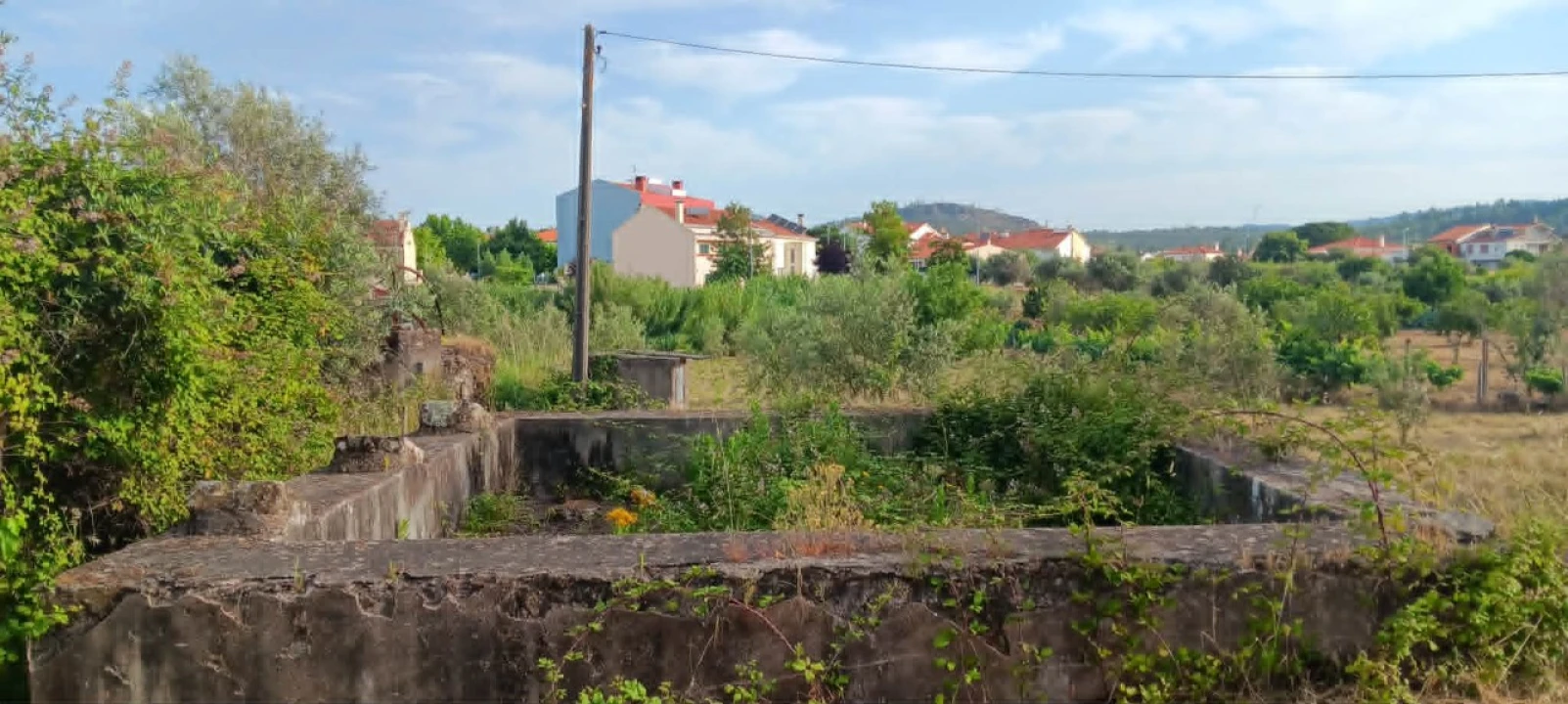 Terreno para Venda em Mação, Penhascoso e Aboboreira Foto 16