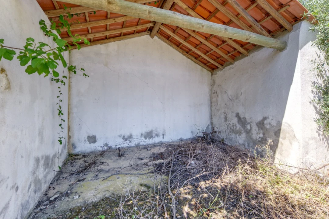 Terreno para Venda em Mação, Penhascoso e Aboboreira Foto 5