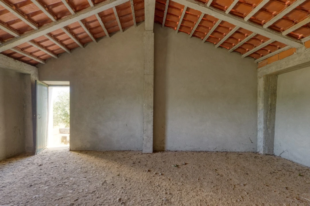 Terreno para Venda em Mação, Penhascoso e Aboboreira Foto 8