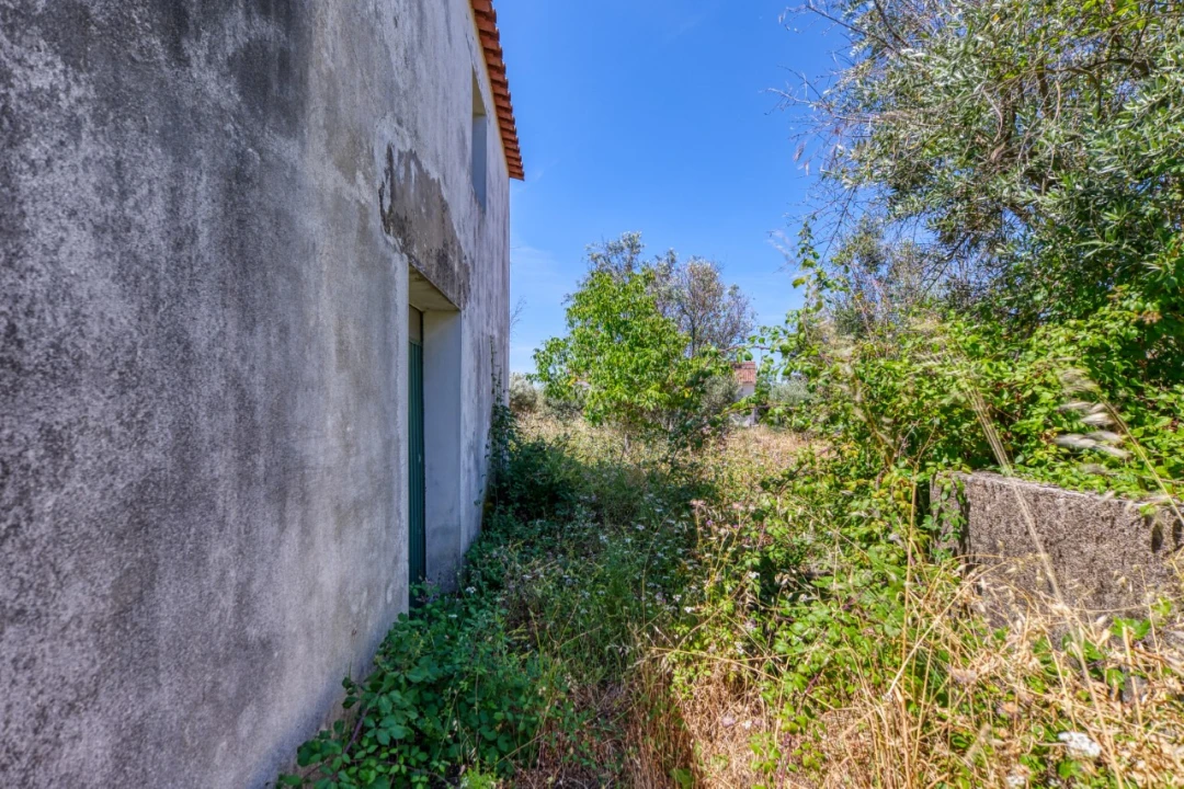 Terreno para Venda em Mação, Penhascoso e Aboboreira Foto 11