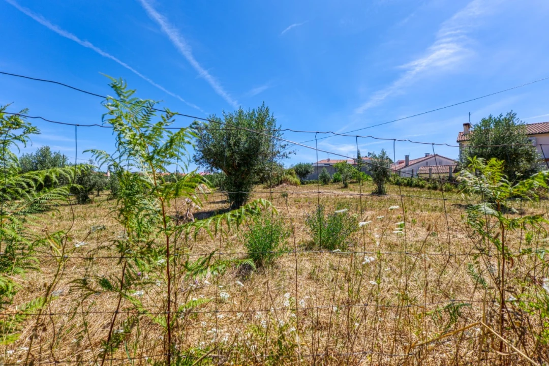 Terreno para Venda em Mação, Penhascoso e Aboboreira Foto 13