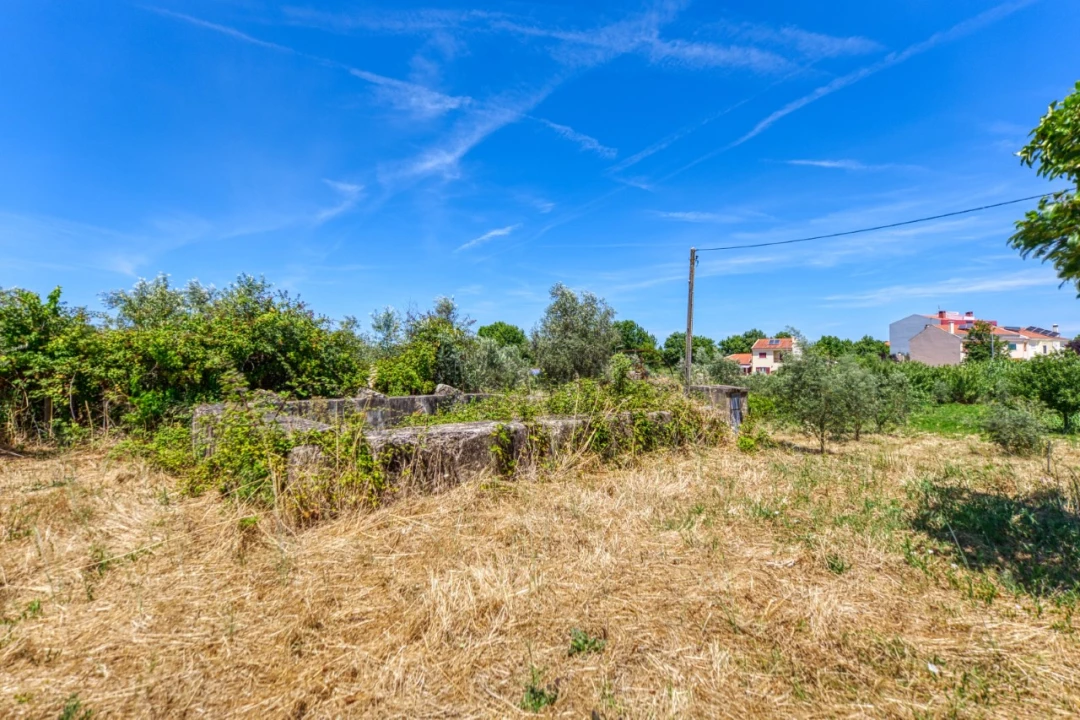Terreno para Venda em Mação, Penhascoso e Aboboreira Foto 19