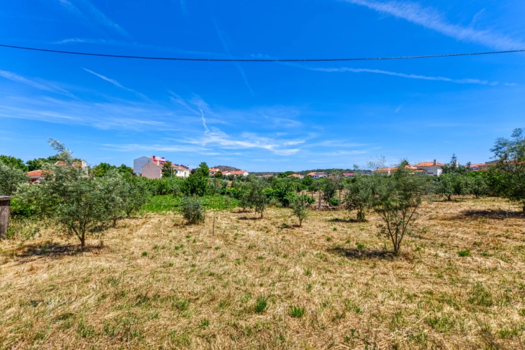Terreno para Venda em Mação, Penhascoso e Aboboreira Foto 21