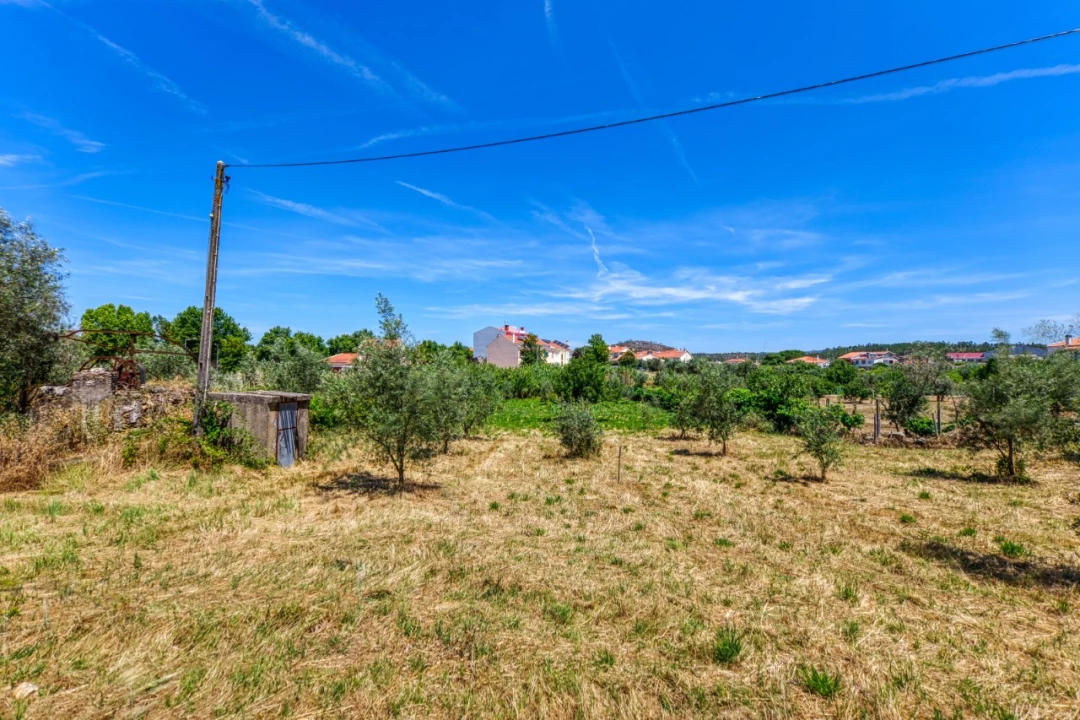 Terreno para Venda em Mação, Penhascoso e Aboboreira Foto 22