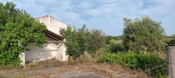 Terreno para Venda em Mação, Penhascoso e Aboboreira