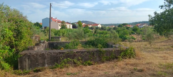 Terreno para Venda em Mação, Penhascoso e Aboboreira