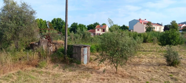 Terreno para Venda em Mação, Penhascoso e Aboboreira